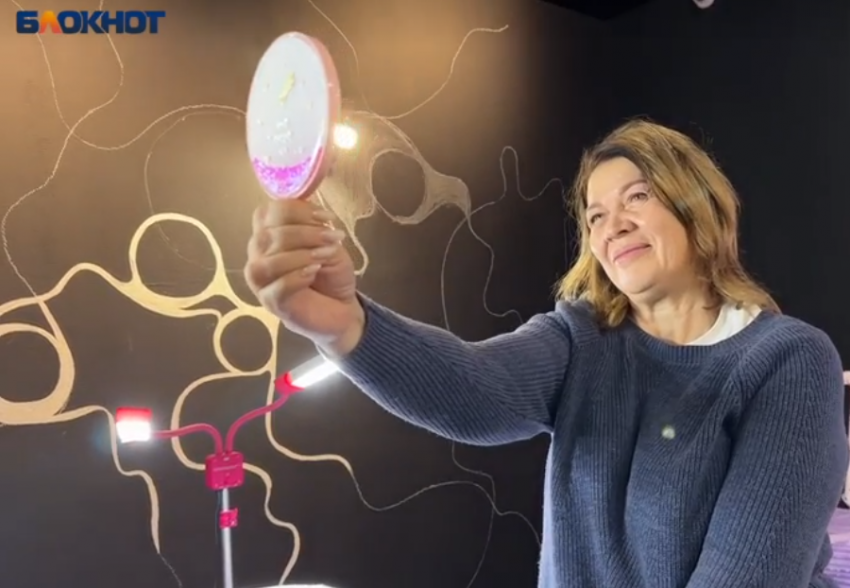 Надежда Гридасова проверила на себе, почему брови решают все