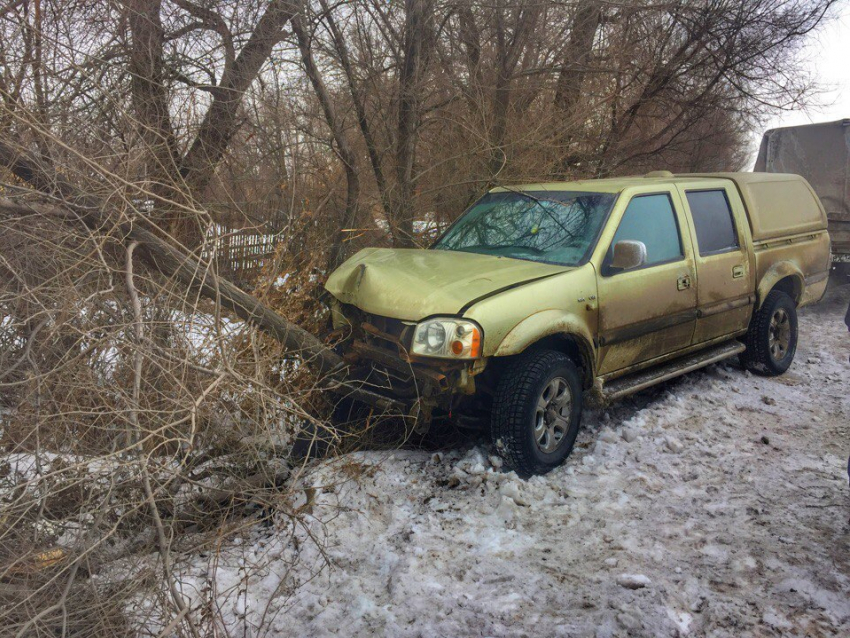 Подрезанный джип врезался в дерево в Волгограде