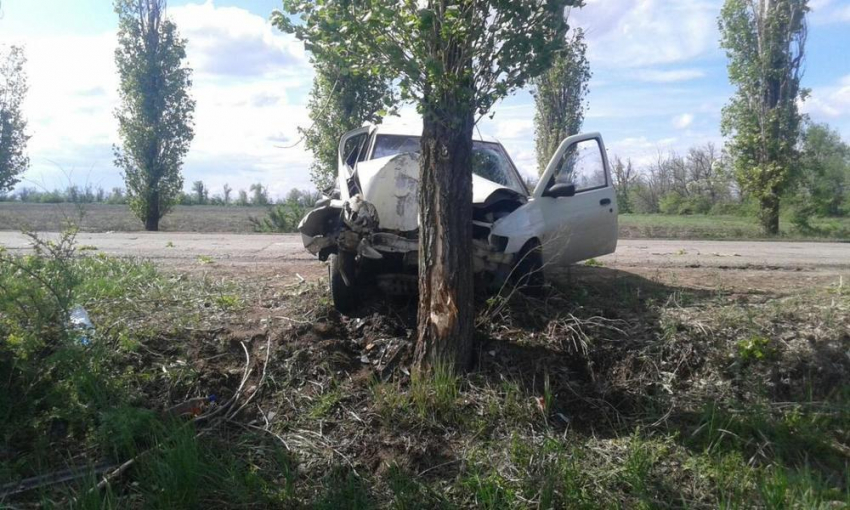 Под Волгоградом водитель Ford врезался в дерево