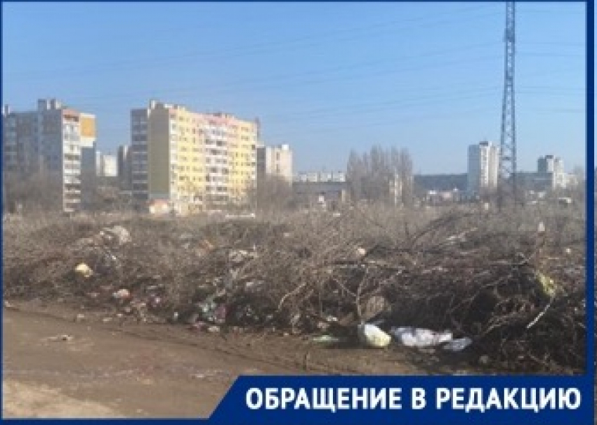 "Трупы гниющих собак лежат сверху": волгоградцы показали свалку в Жилгородке