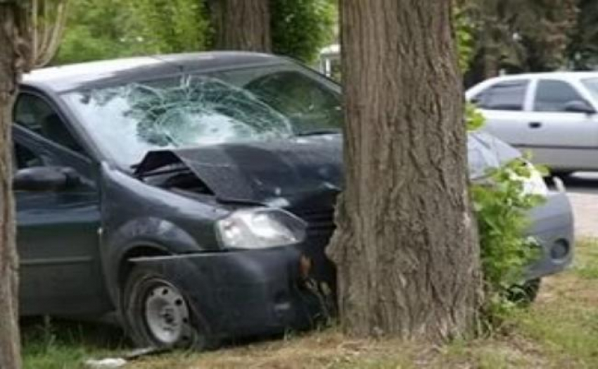Под Волгоградом водитель, лишенный прав, протаранил дерево