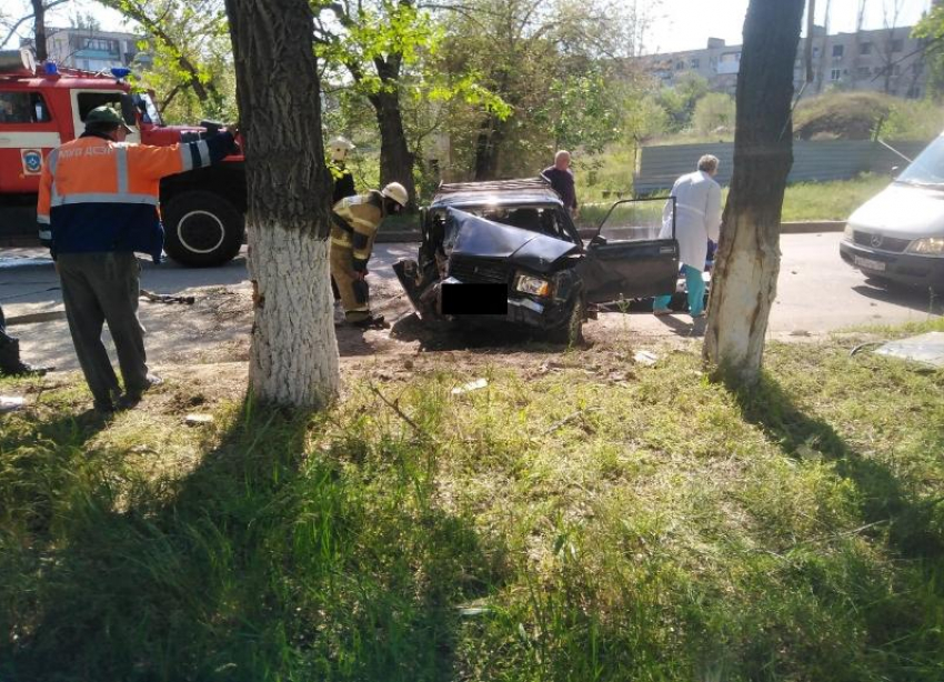 «Живой, но в тяжелом состоянии»: пенсионер за рулем «семерки» влетел в дерево в Волгограде
