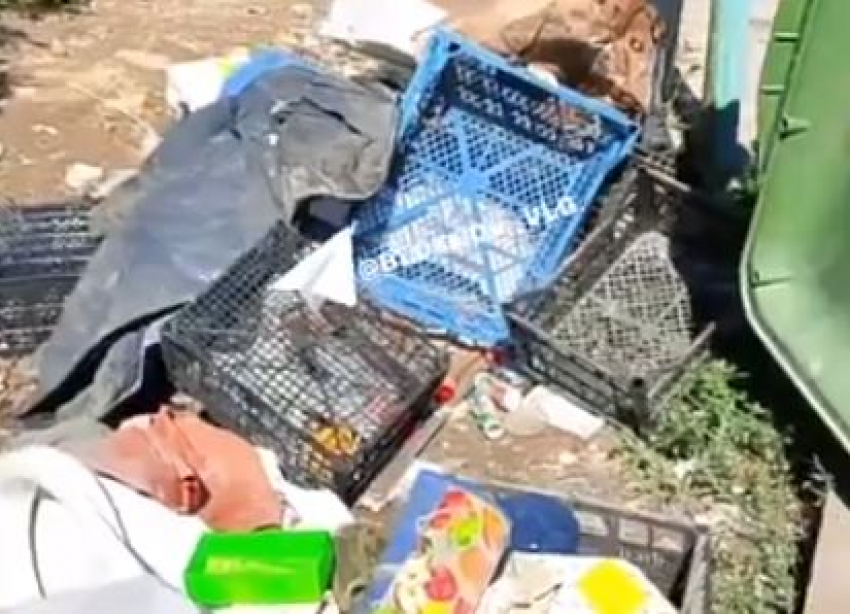 «Лежит щенок со вспоротым животом»: зловонная свалка с трупом кошмарит волгоградцев 