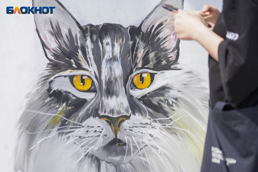 Небольшой дождь и облачность: погода в Волгоградской области на 26 мая