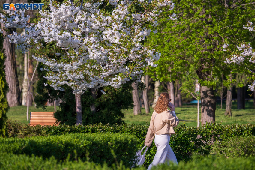 Погода в Волгограде на 22 апреля: солнечно, жарко и геомагнитный шторм