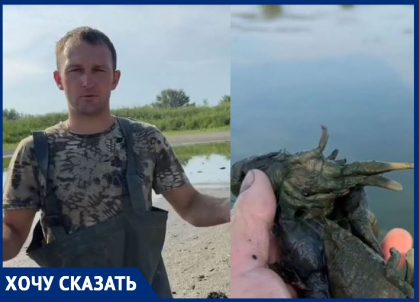Раки сварились в озере в 40-градусную жару под Волгоградом
