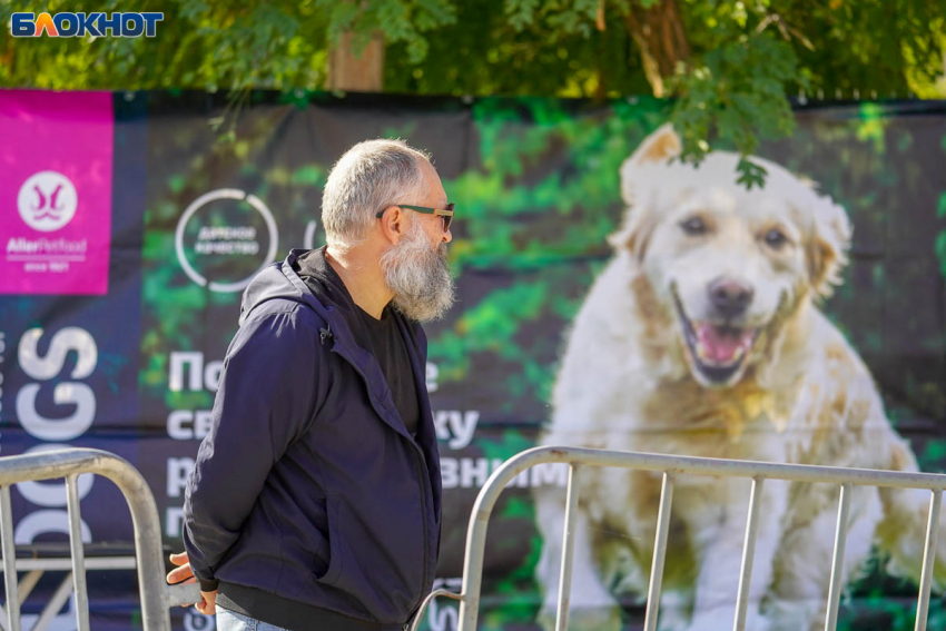 9 октября синоптики обещают тепло до +23 градусов в Волгограде