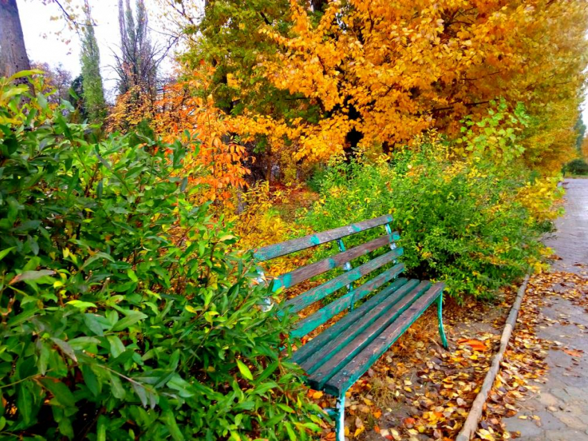 22 сентября в Волгограде малооблачно и без осадков 