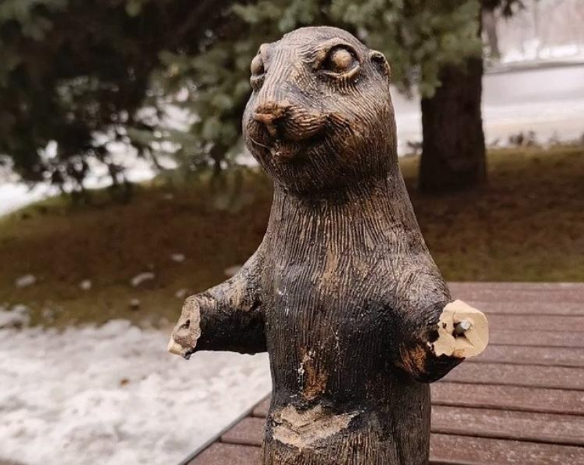 Обломавшего лапы суслику арестовали в Волжском 