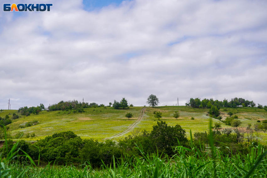 Волгоградец купил за 16 тысяч участок стоимостью более миллиона 