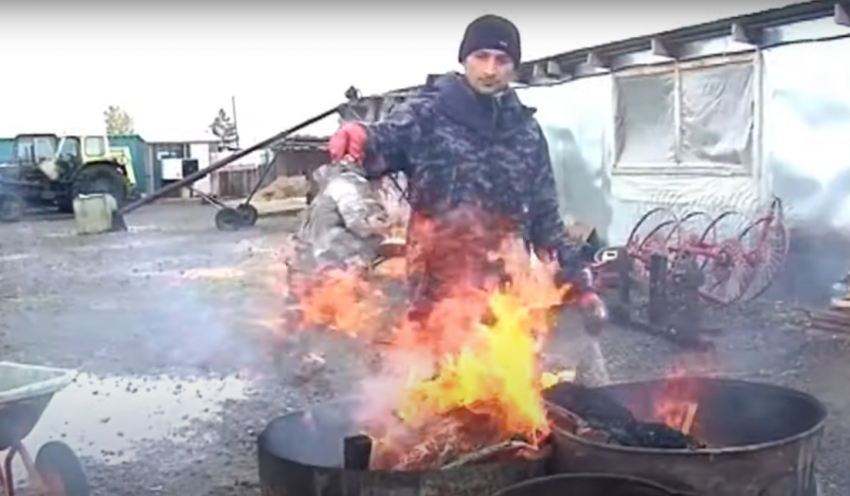 В Волгоградской области ввели карантин: на юге России семь человек заразились птичьим гриппом