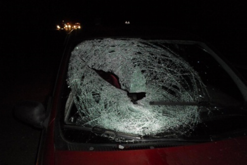 Под Волгоградом сбили двоих пешеходов