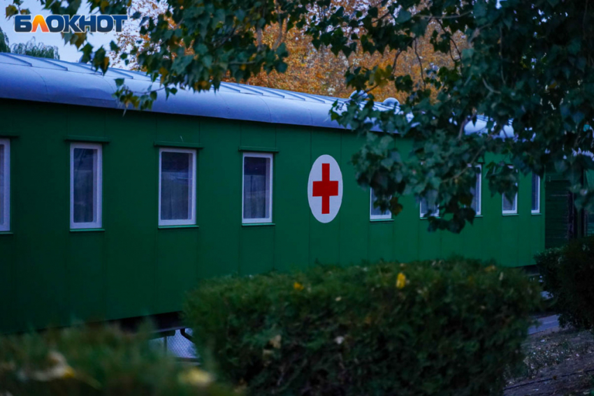 Волгоградцев массово привьют против краснухи 