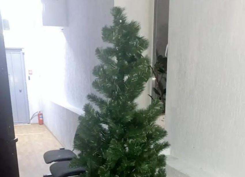Дерзких похитителей новогодней ели нашла полиция в Волгограде
