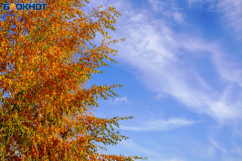 Дожди подпортят бабье лето на границе ноября в Волгограде