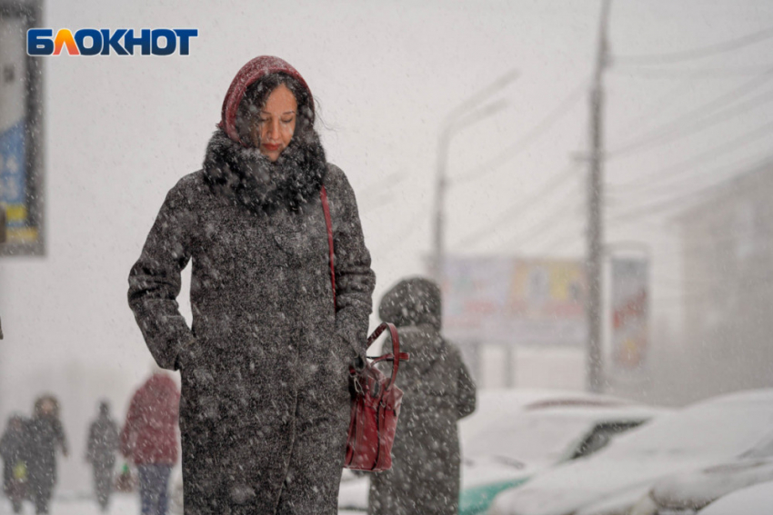 «Для получения удовольствий»: гороскоп для волгоградцев на 8 марта