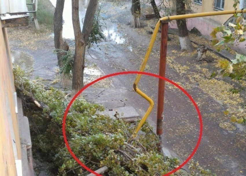 На газовую трубу повалил дерево ураганный ветер в Волгограде 