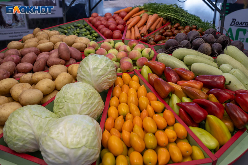 Резкий ценовой шторм в продуктовых магазинах зафиксирован в Волгограде: борщ против салата