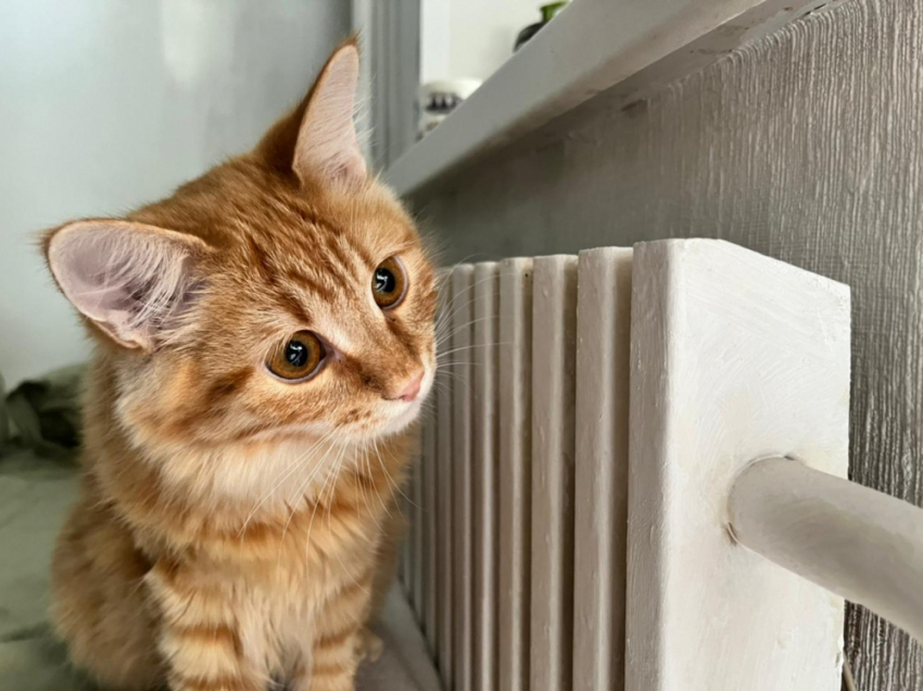 Отопительный сезон начался в Волгоградской области с 1 октября