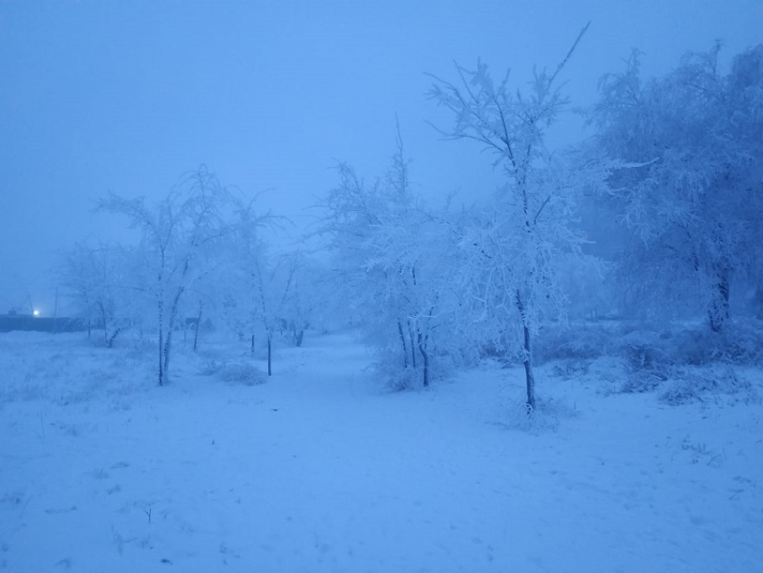 За 3 дня до Нового года мороз серьезно усилился в Волгограде ﻿