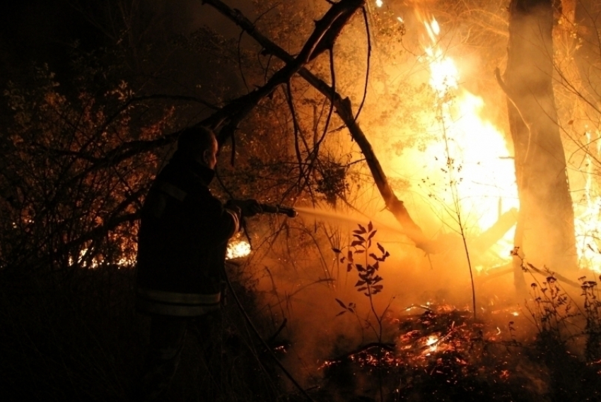 Под Волгоградом злоумышленники сожгли два дома 