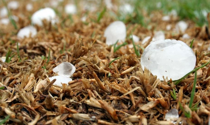 Волгоградцам пообещали северный ветер и град