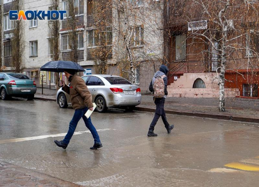 Где волгоградцам в марте предлагали зарплату больше 120 тысяч рублей