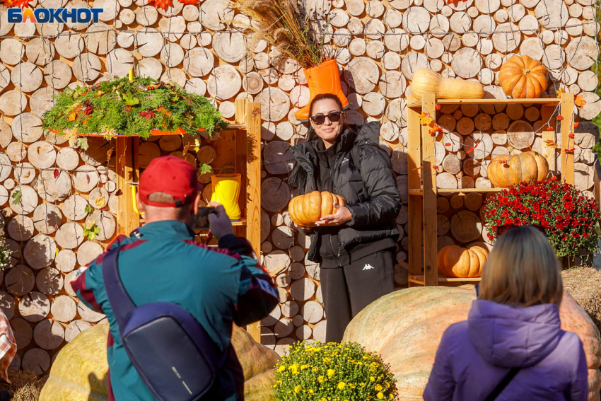  Численность населения назвали в Волгоградской области