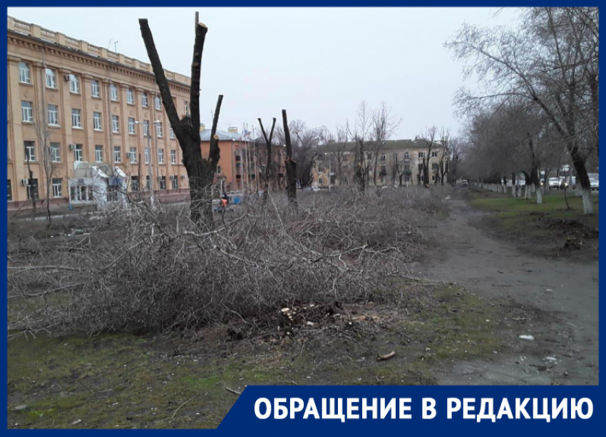 Студентов Волгоградского колледжа газа и нефти оставили без зеленого парка