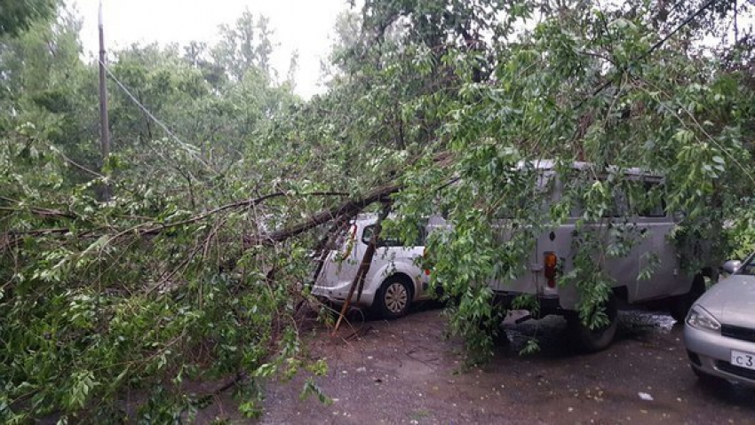Разбушевавшаяся в Волгограде стихия срывает провода и ломает деревья