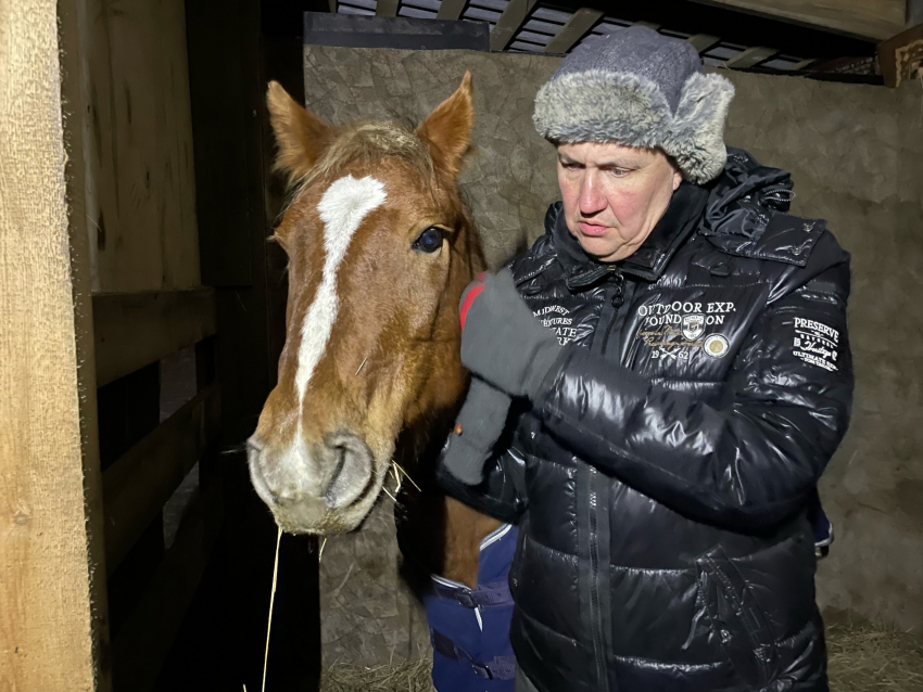 «Ноги примерзли и был ранен бок»: под Волгоградом спасли беременную кобылу