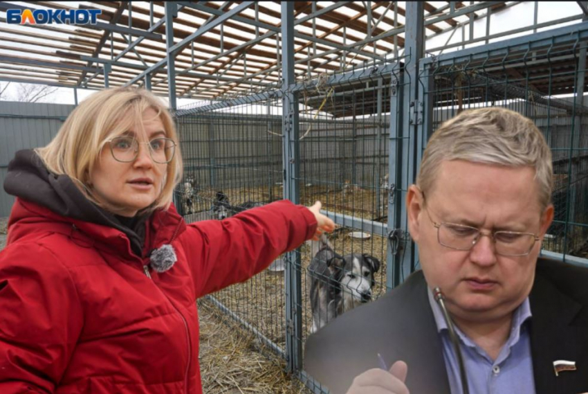 Беда 2000 приговоренных к замерзанию волгоградских дворняг докатилась до Госдумы