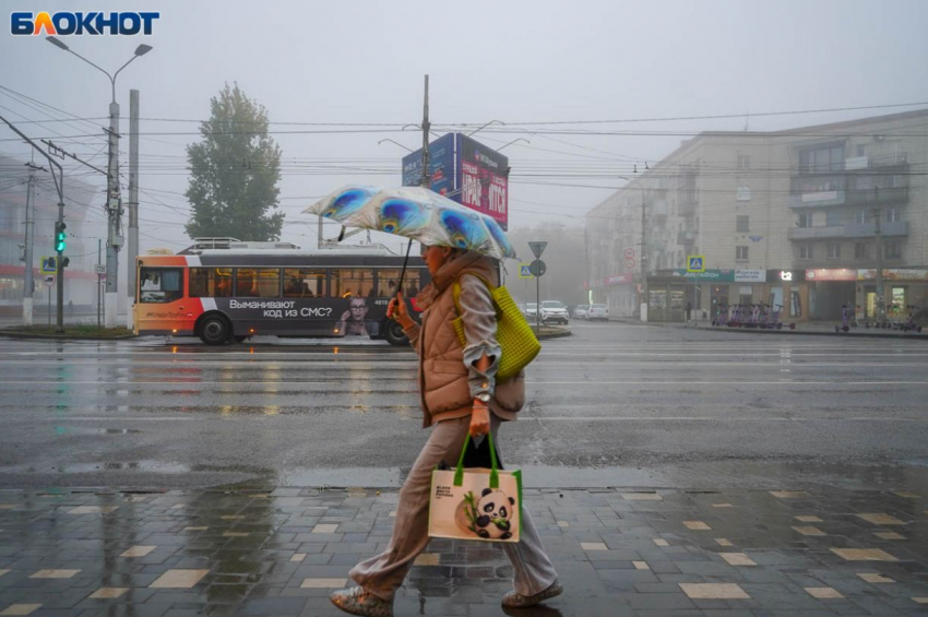Мигранты, инвестиции, поддержка участников СВО: волгоградские депутаты готовятся спросить с власти о наболевшем