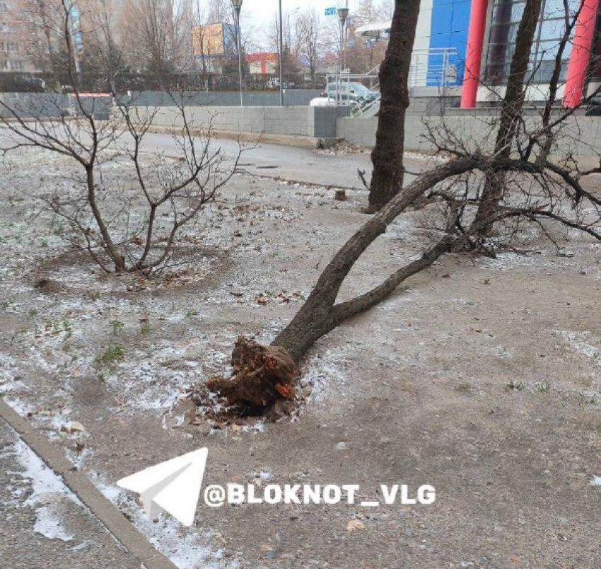 Сносит крыши, мерцают лампы: что творится во время шторма в Волгограде 