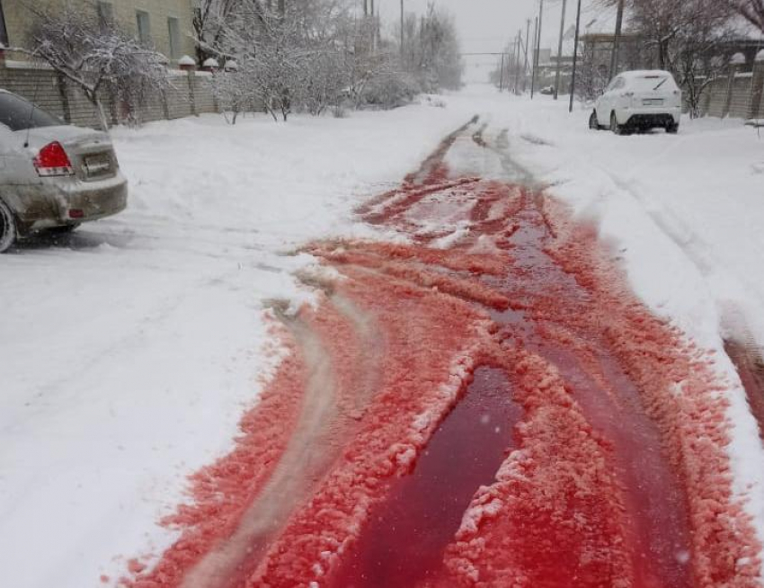 Кровавый снег в посёлке под Волгоградом сняли на видео