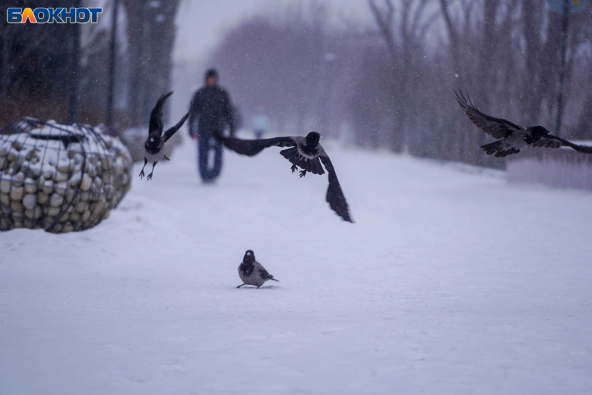 Девять БПЛА уничтожили в волгоградском небе