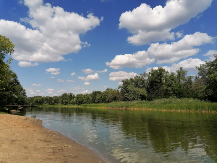 Нашествие вредителей и засыхание 10 тысяч гектаров леса и спрогнозировали специалисты в Волгоградской области