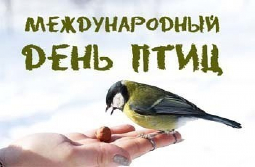 Волгоградцев приглашают отметить День птиц