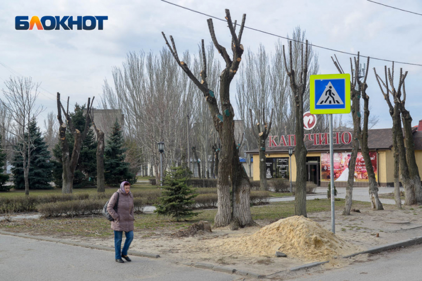 Новая неделя в Волгоградской области начнется с заморозков до -7