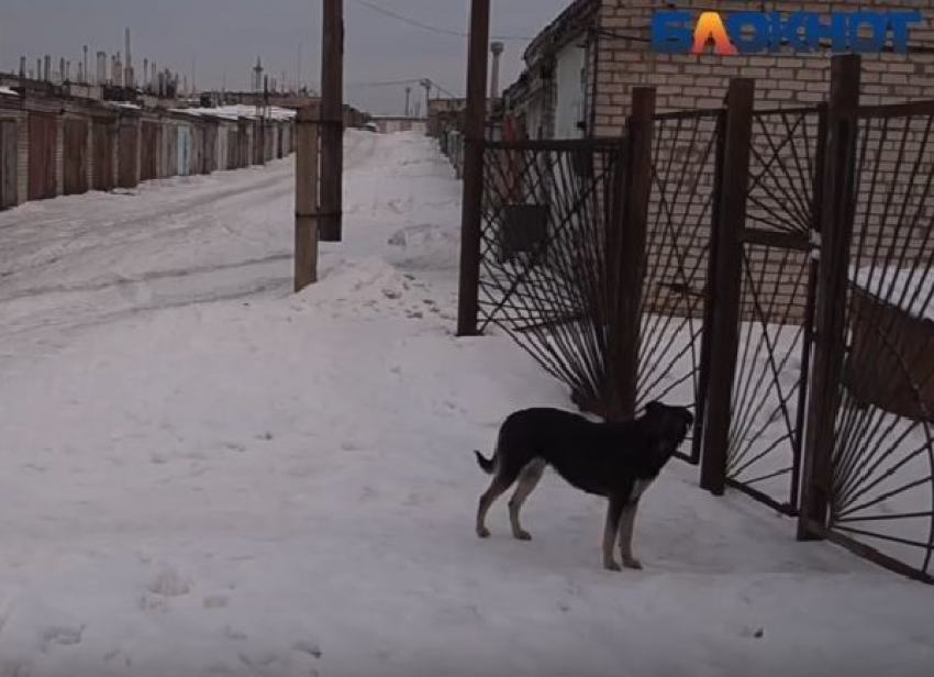 Женщина со сложной трудовой судьбой насмерть замерзла под Волгоградом