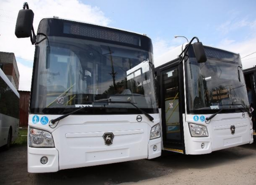 В Волгограде на автобусный маршрут №98 добавили три машины