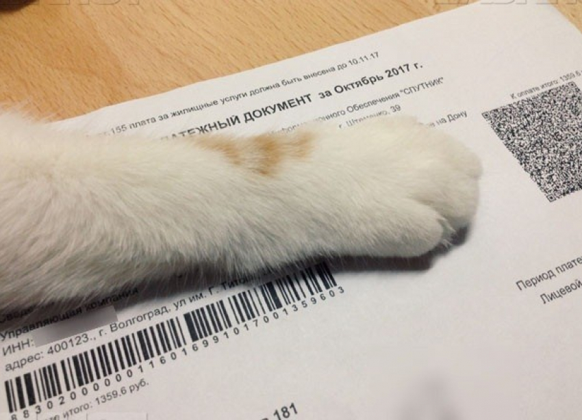 Жители Волгоградской области отдали за услуги ЖКХ 26 миллиардов рублей