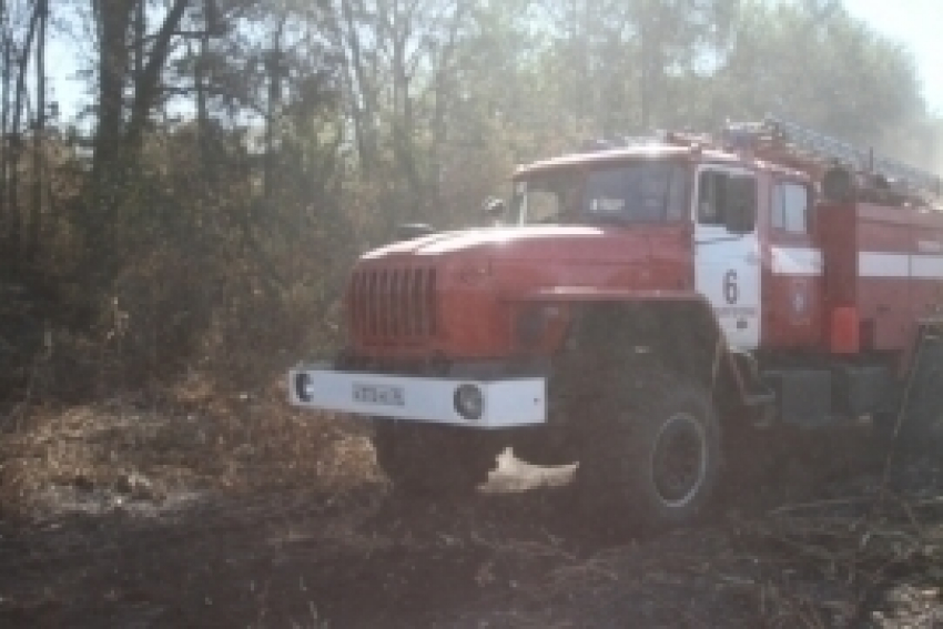 В Николаевском районе локализован пожар в лесу