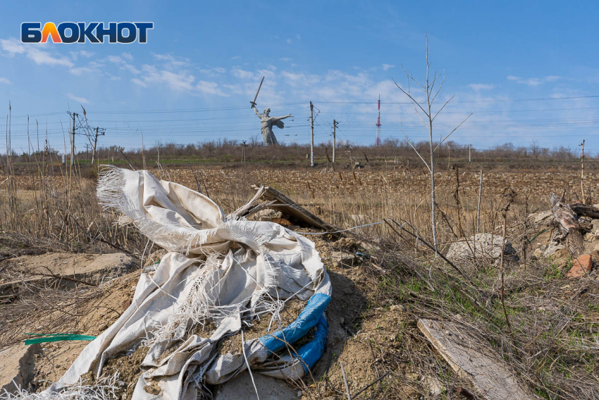 Попасть в колонию за неправильно выброшенный мусор могут жители Волгограда