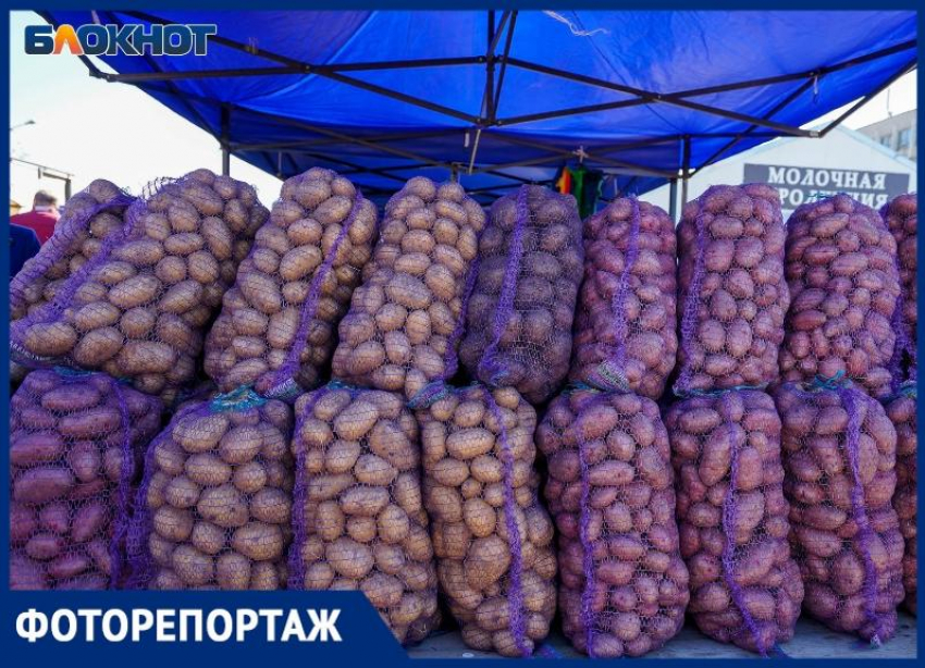  С сегодняшнего дня подорожала на полях: что говорят о картошке на волгоградских рынках 