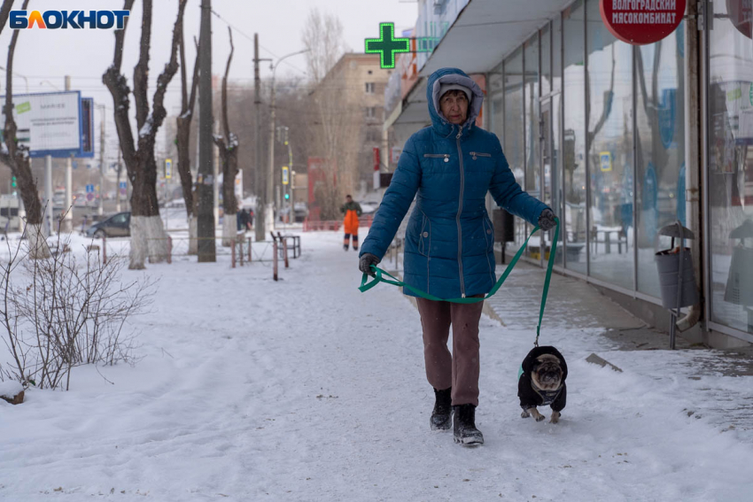 Погода в Волгограде на 1 марта: изморозь, гололедица и давление