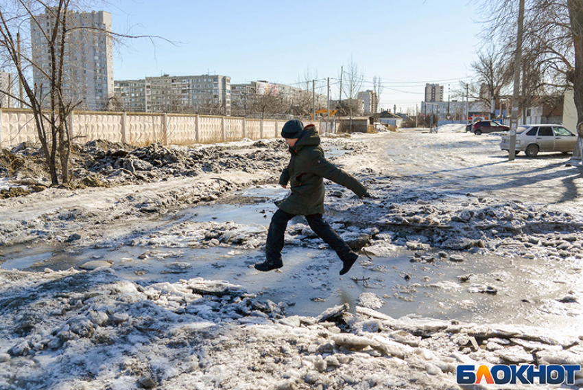 Как выбрать профессию для особенного ребенка, размышляли педагоги в Волгограде