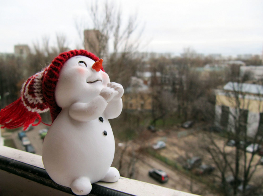 Жители Волгограда ждут обещанного снега