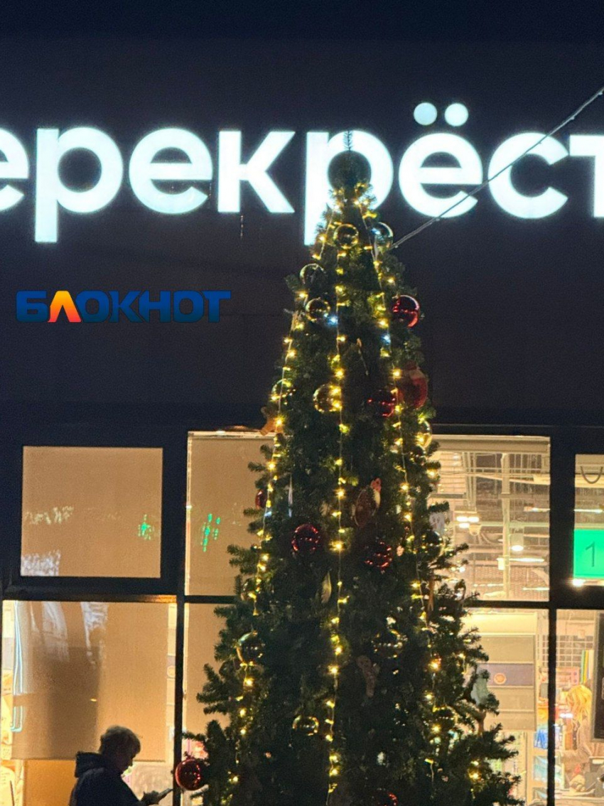 Первую новогоднюю ель установили в Волгограде