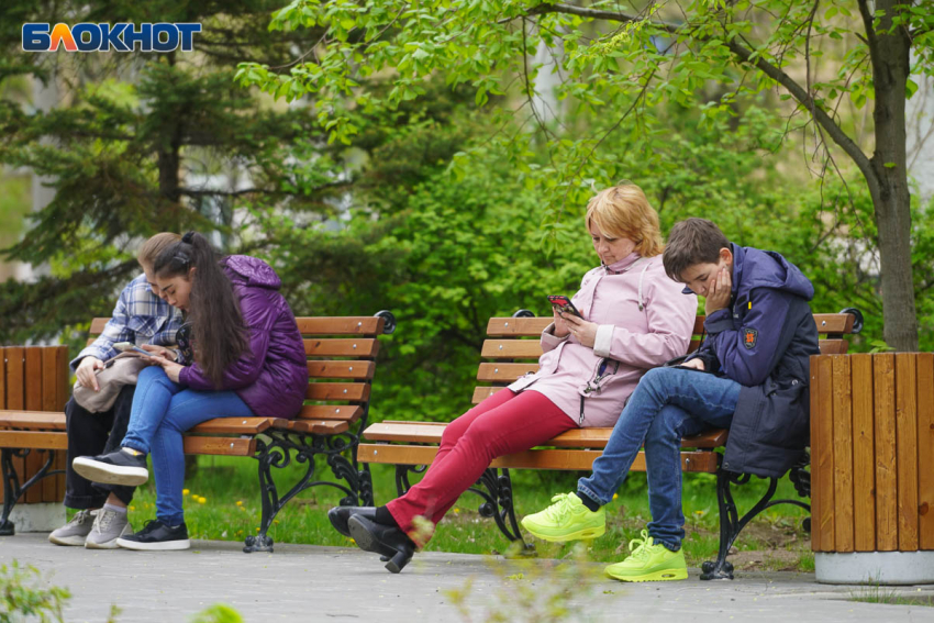 Вход в интернет по паспорту одобрили треть волгоградцев